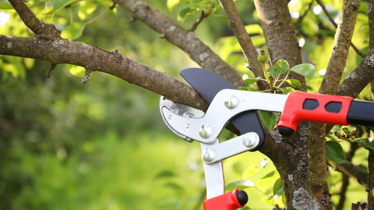 Backyard projects and landscaping that don't require any permits
