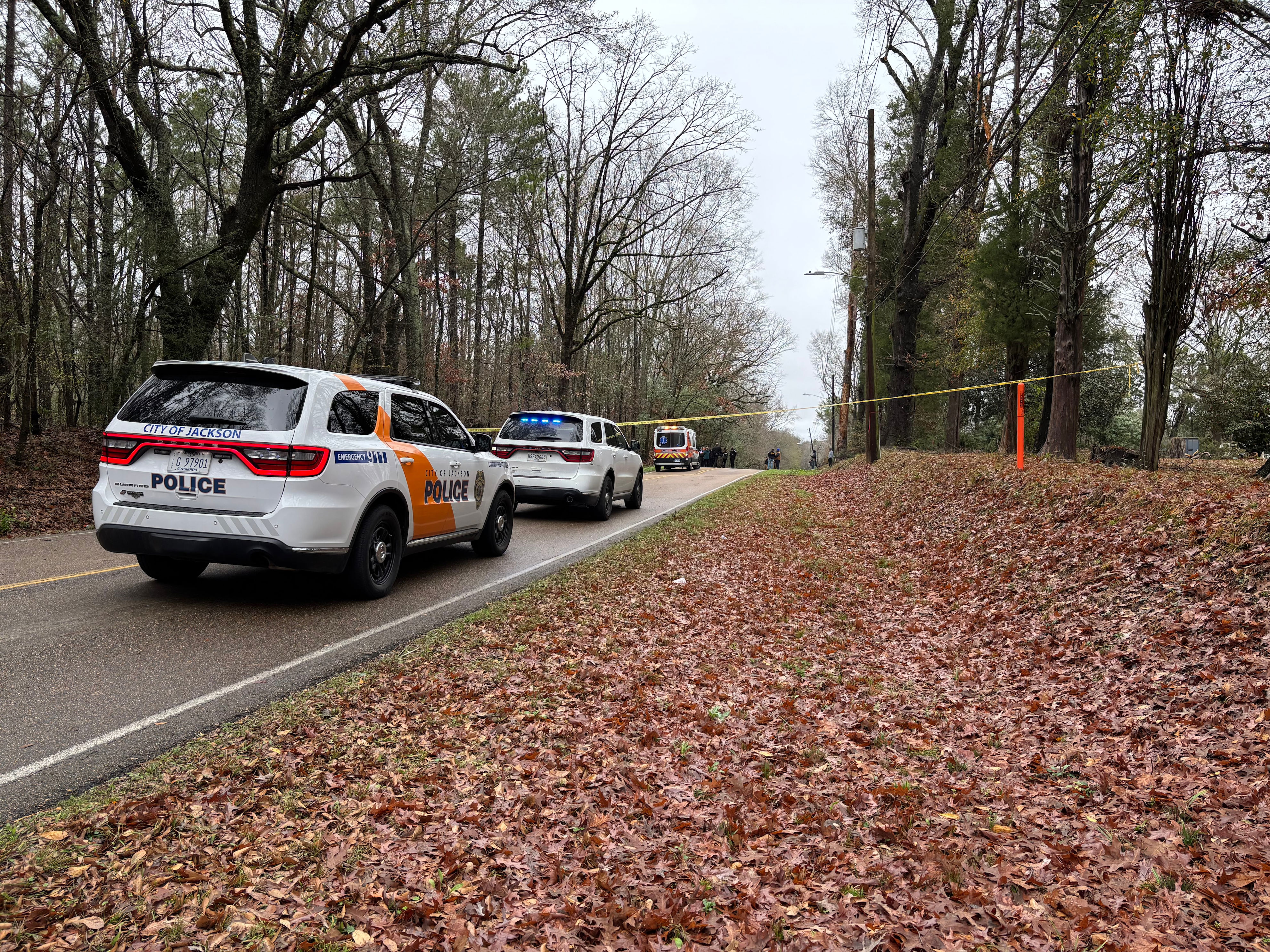 Man found shot, killed in wooded area in Jackson