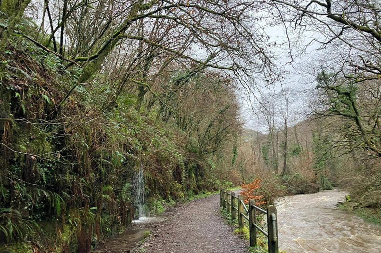 Tranquil river walk with rare birds and a cosy country pub at the end