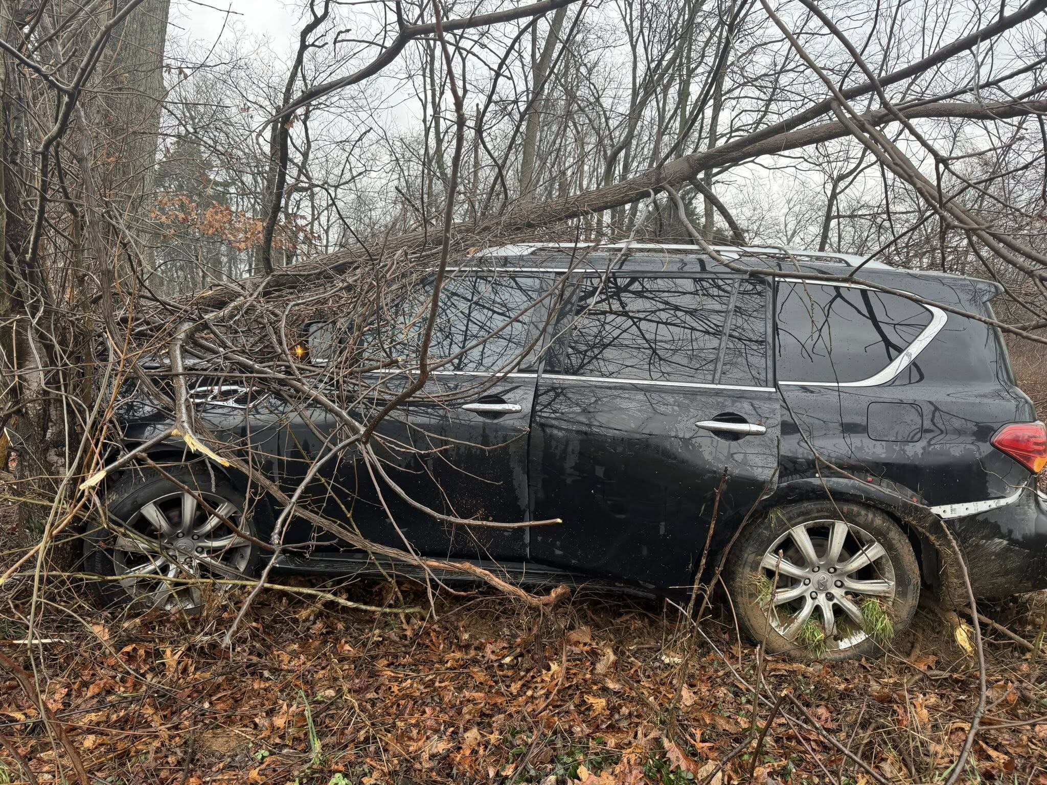 Multiple injured after car hits tree on I-65
