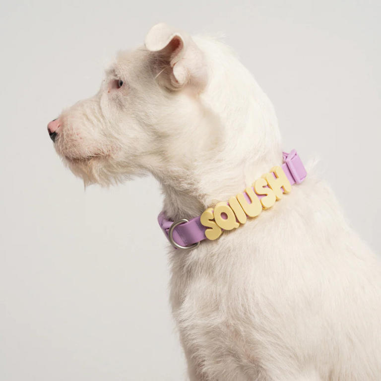 These silicone charms offer a quick way to update your dog's collar