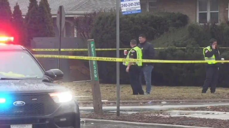 Investigation underway after pedestrian hit, killed by car in Park Ridge