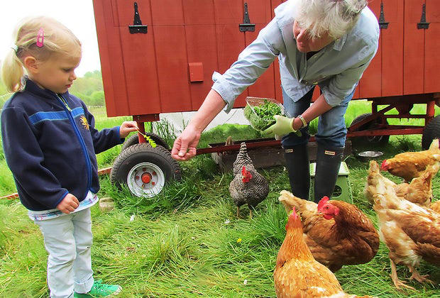 70 free things to do in Westchester and the Hudson Valley with kids