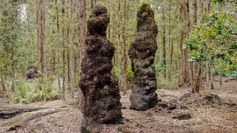 A captivating Hawaiian monument offers an immersive look at the island ...