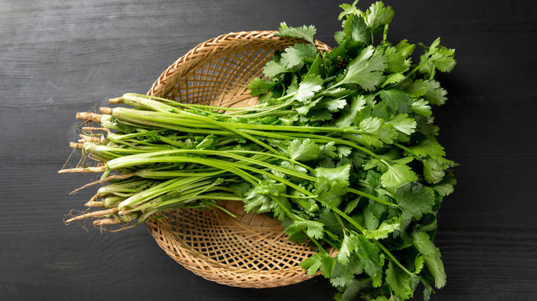 The 10 best things to infuse in olive oil for maximum flavor