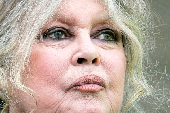 brigitte bardot racist comments homophobic Image 7