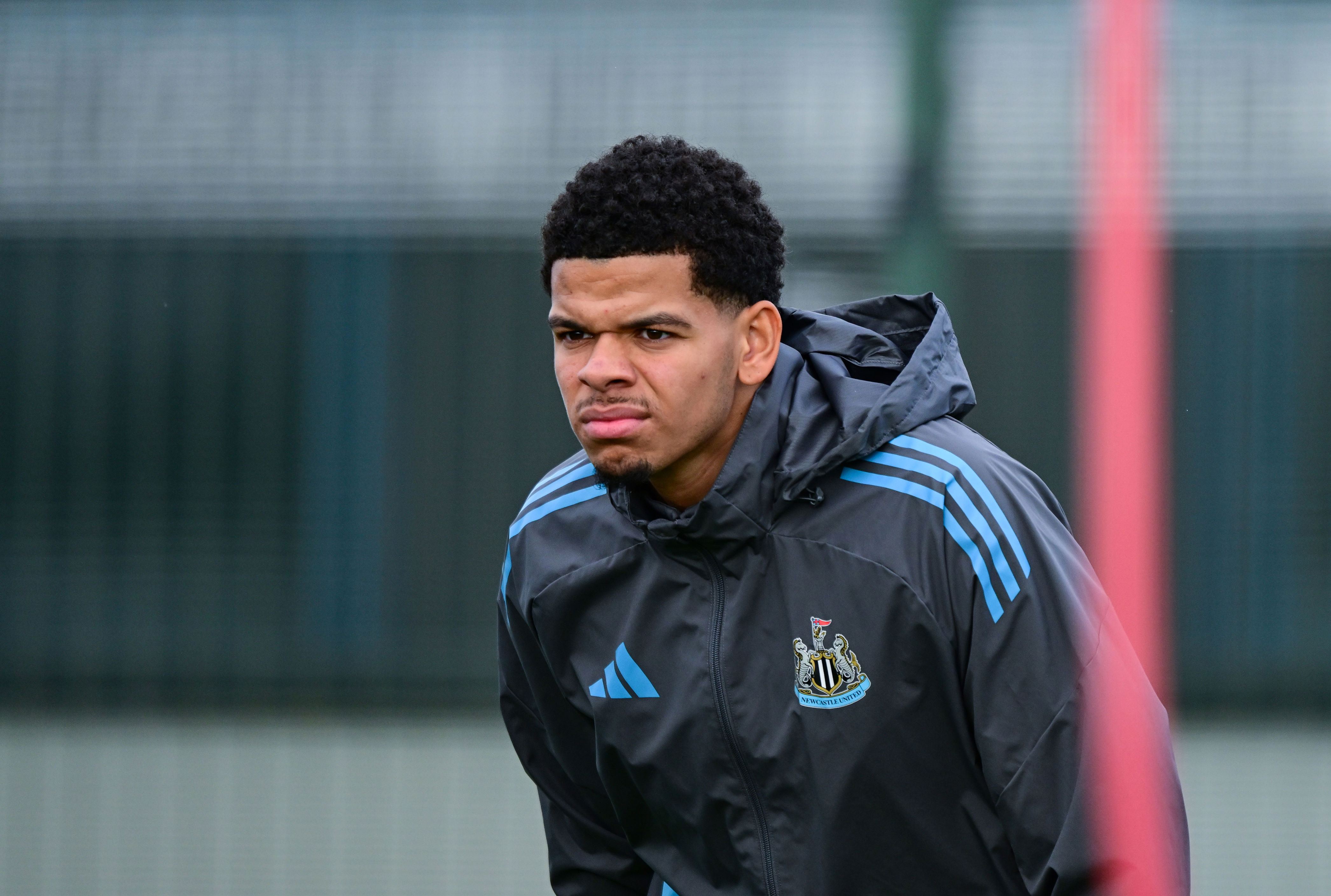 Newcastle’s Will Osula transfer update emerges before January transfer window<br><br>