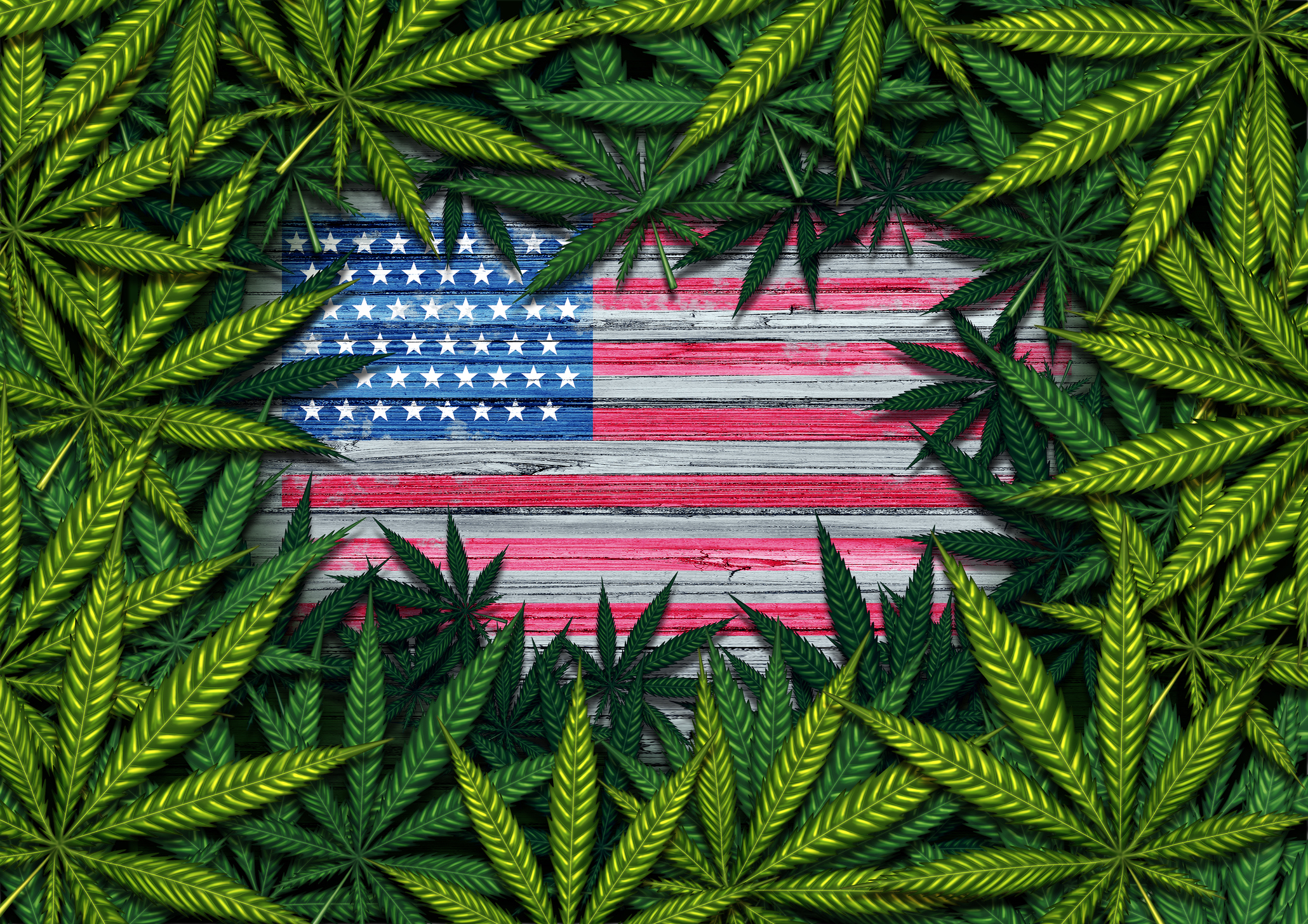 I was right: President Trump will legalize marijuana in 2026