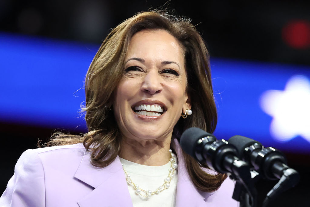 Harris draws fire over sealed Epstein files<br><br>