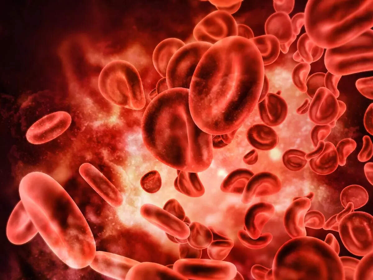 6 superfoods that support healthy blood levels