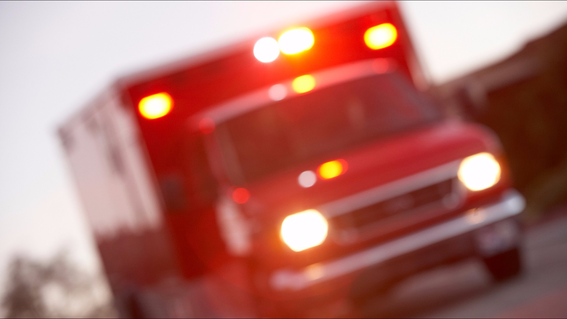 31-year-old dead after crashing into fallen tree, Jones County sheriff ...