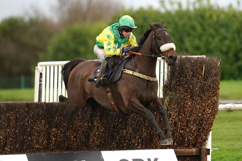 'He absolutely loves Newbury' – Jason Heavey's racing tips