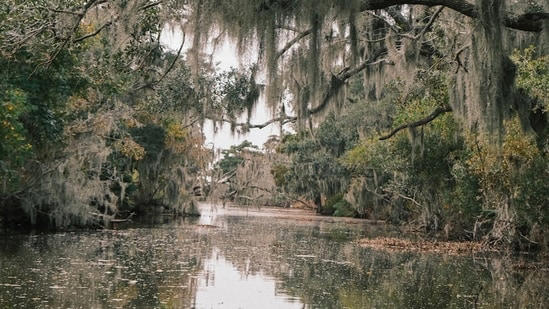 Serial killer rumors in Texas after 3 bodies found in Houston's Buffalo ...