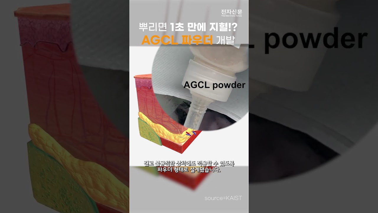 1초 만에 출혈잡는다?.. 'AGCL 파우더' 개발 #지혈제 #파우더형 #KAIST
