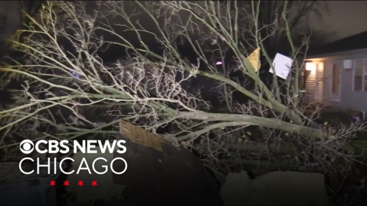 Severe storms leave widespread damage in Central Illinois