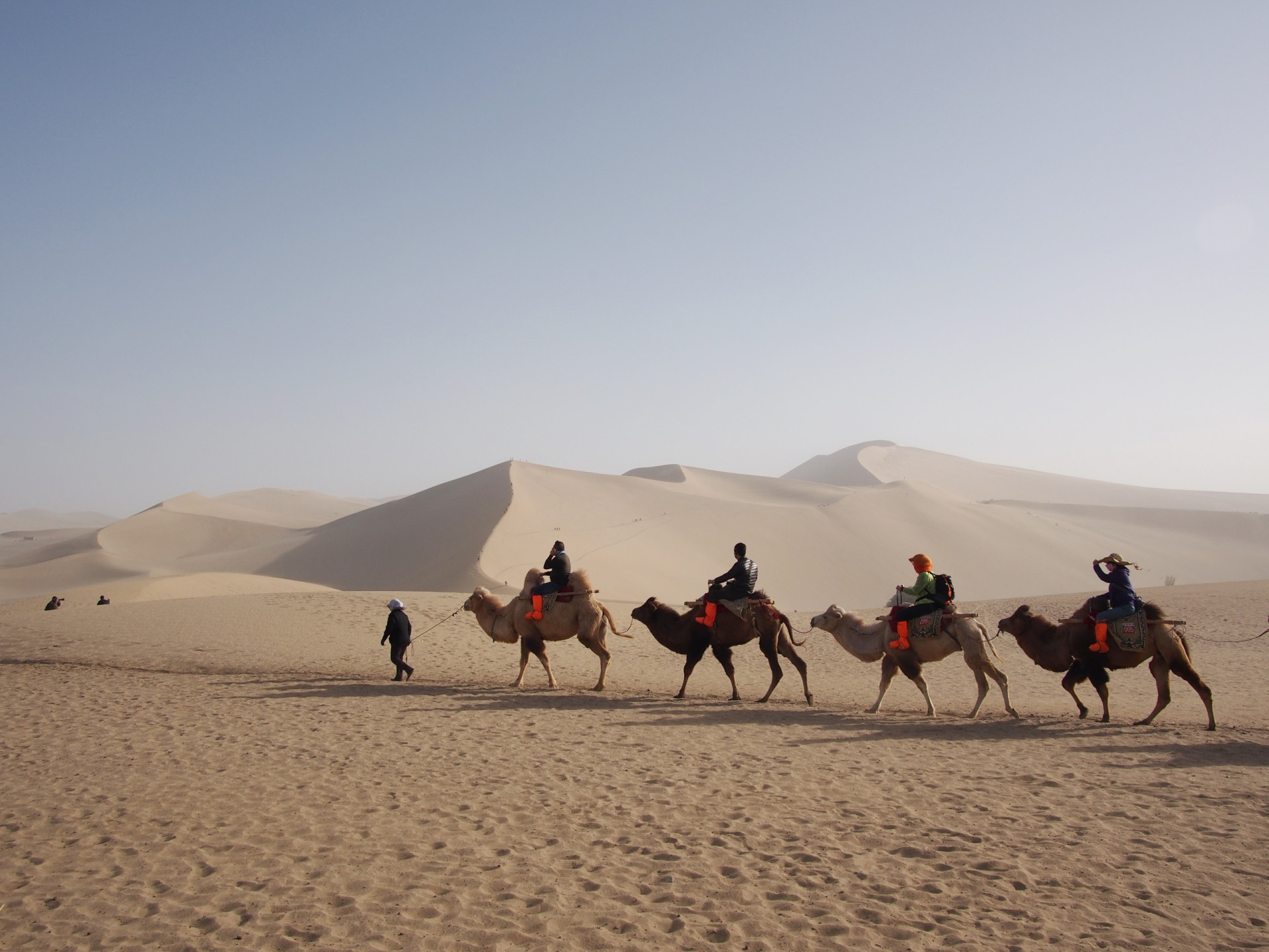 L'incroyable et fascinante histoire de la route de la soie