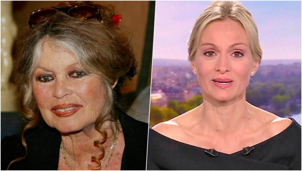 Mort de Brigitte Bardot : "Elle a quand même été condamnée six fois pour  racisme…", Audrey Crespo Mara, la mise au point en direct dans le JT de TF1