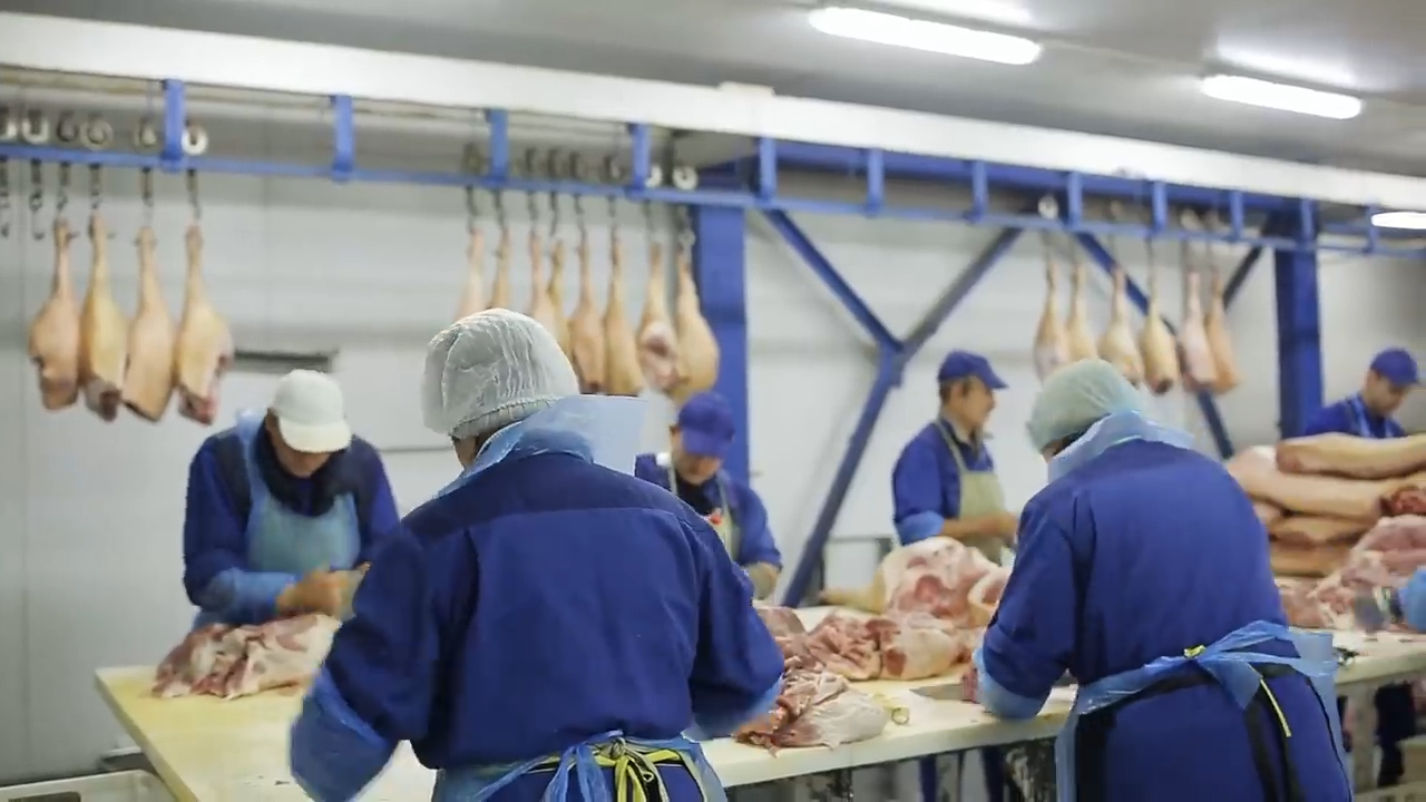Truth about lab-grown meat