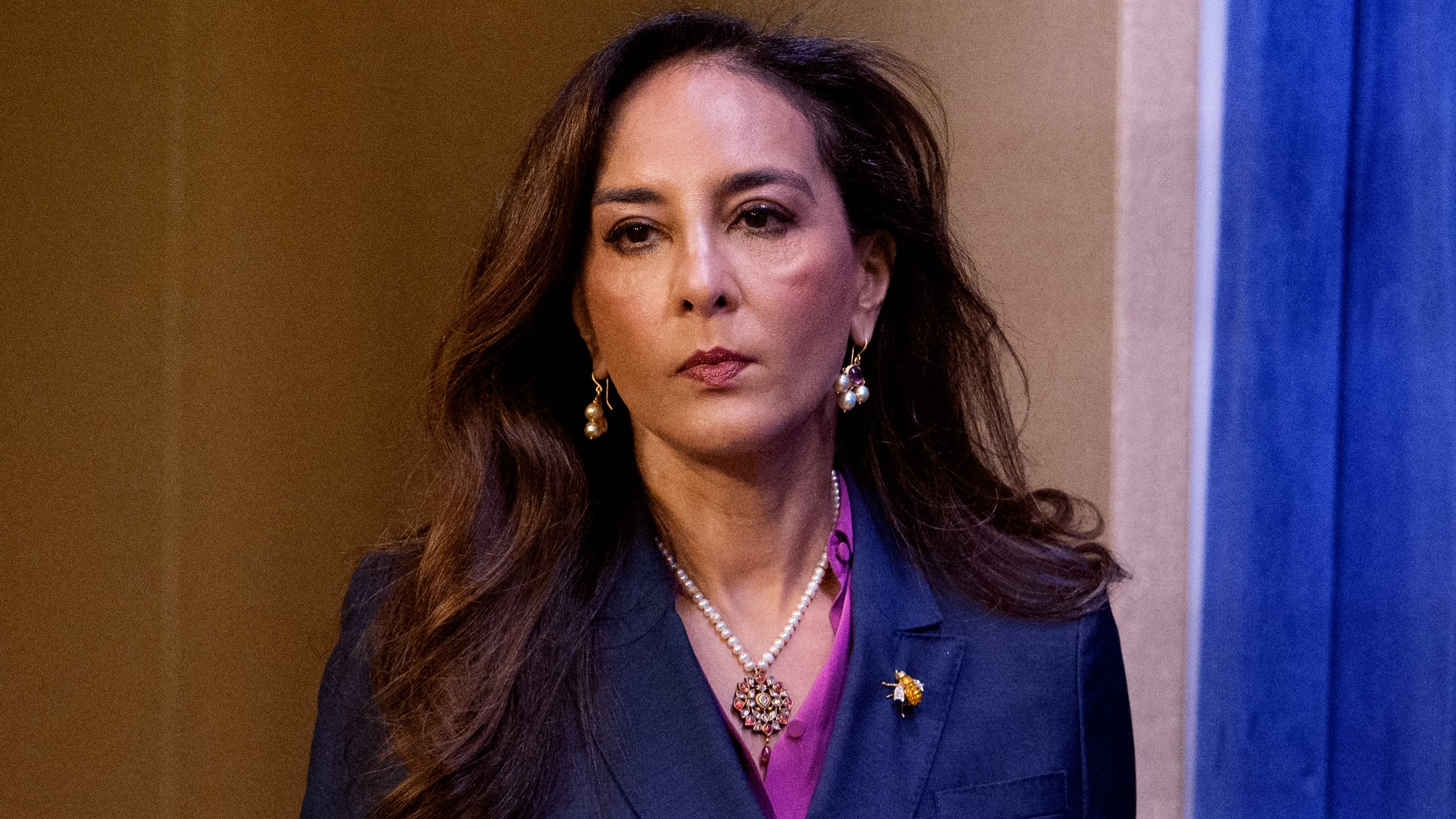 Harmeet Dhillon threatens criminal proceedings over noncitizen voting