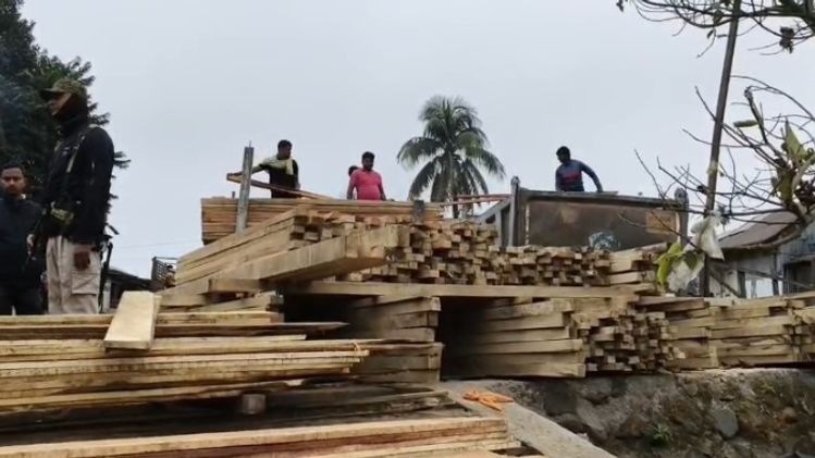 Assam Forest Department dismantles illegal timber market in Bongaigaon ...