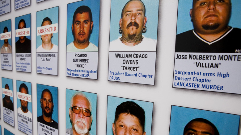 The history of the Mongols Motorcycle Club explained