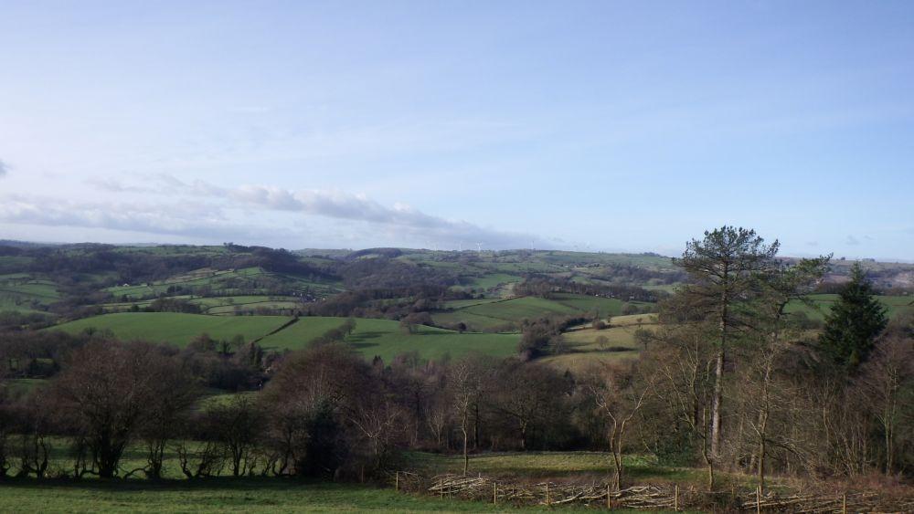 Sutton in Ashfield Rambling Club's New Year scenic walk