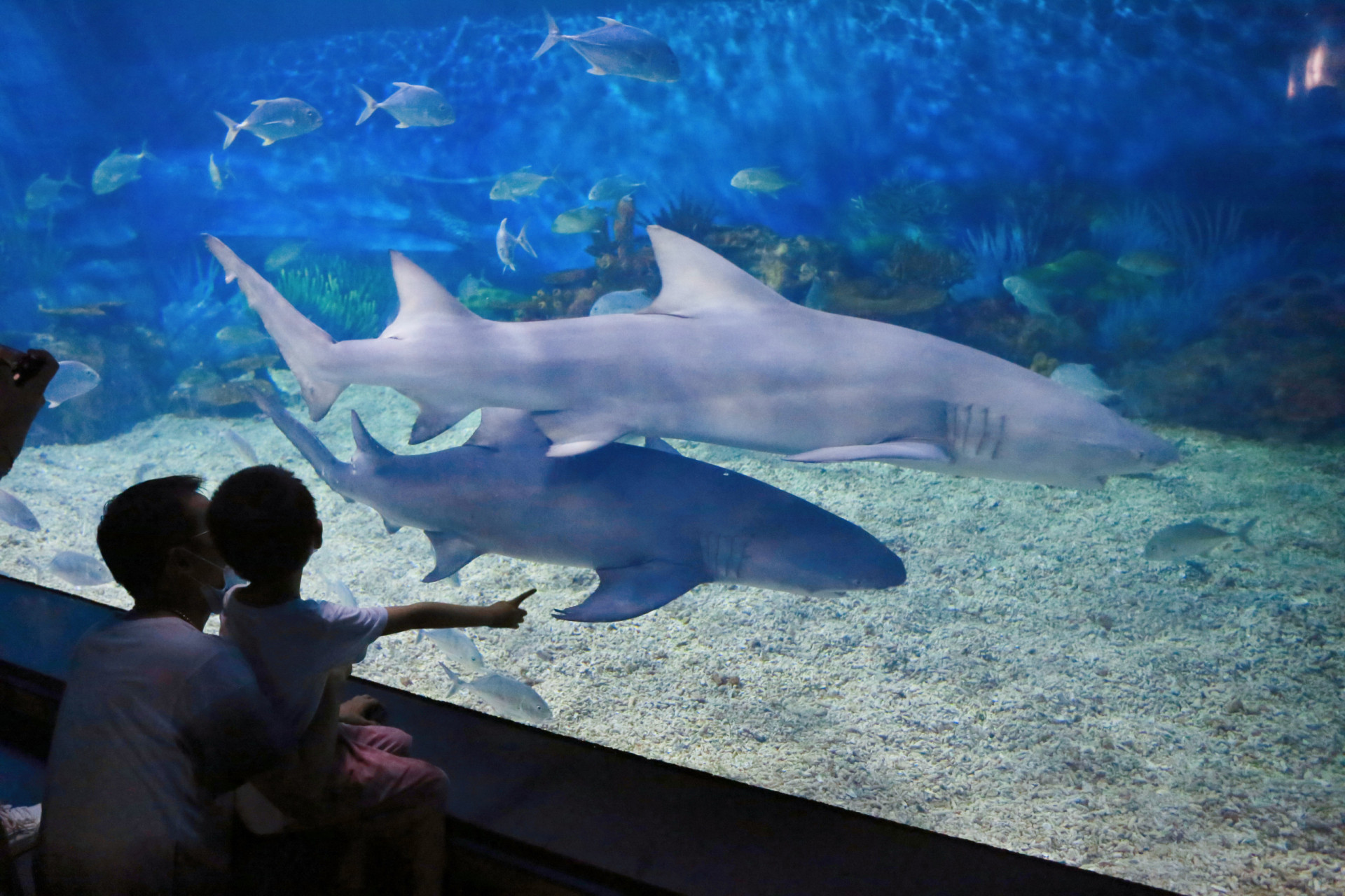 Qu'est-ce qui rend le verre transparent