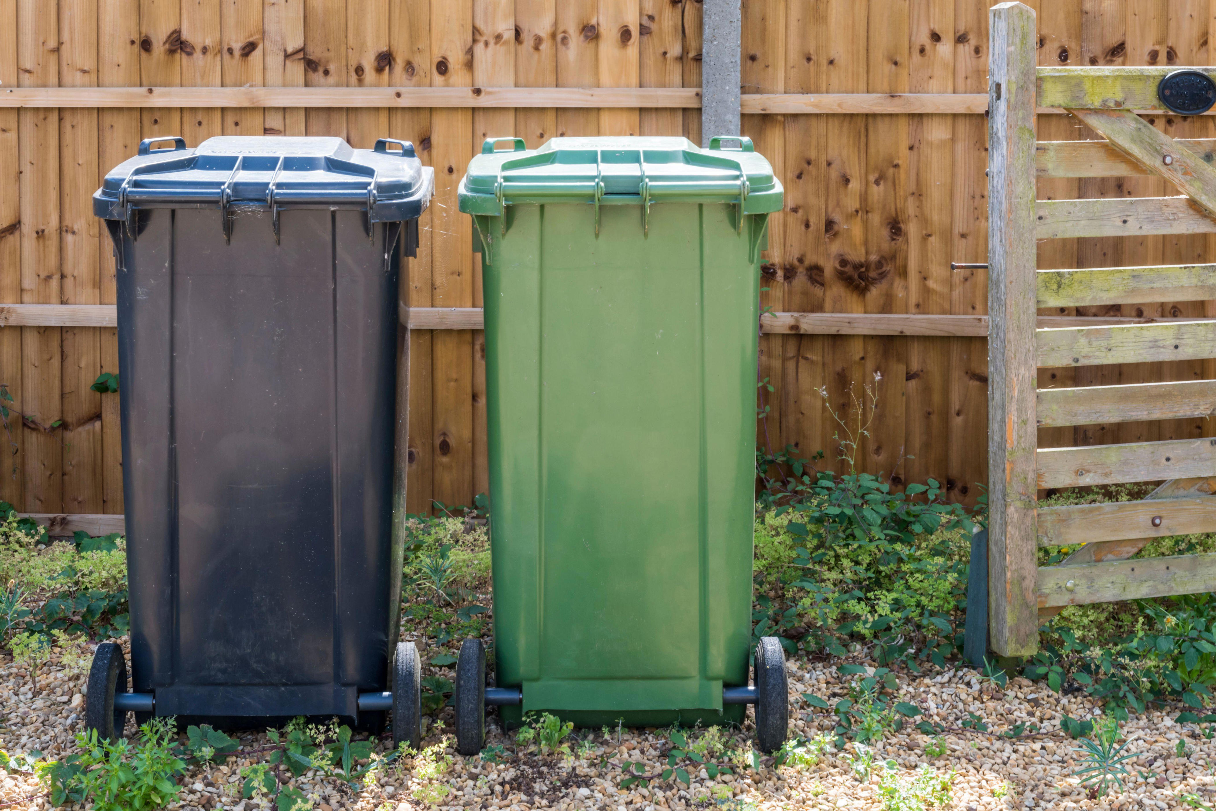 Bin collection rules are changing for everyone in 2026, here's what you ...
