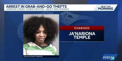 Des Moines woman charged with using child in nearly $30,000 clothing theft