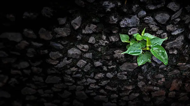 Novo material de carbono promete revolucionar blindagens aeroespaciais
