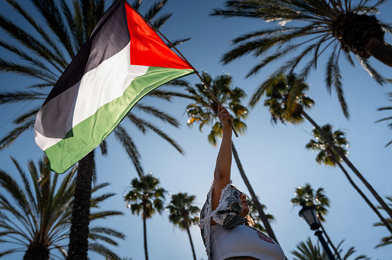 FBI foils New Year's Eve terror plot by 'pro-Palestinian' group in ...