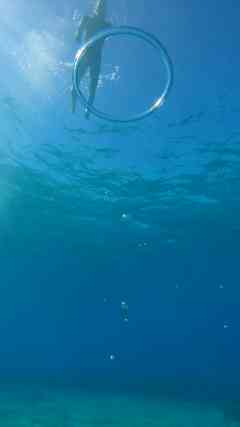 How diving without gear changes everything