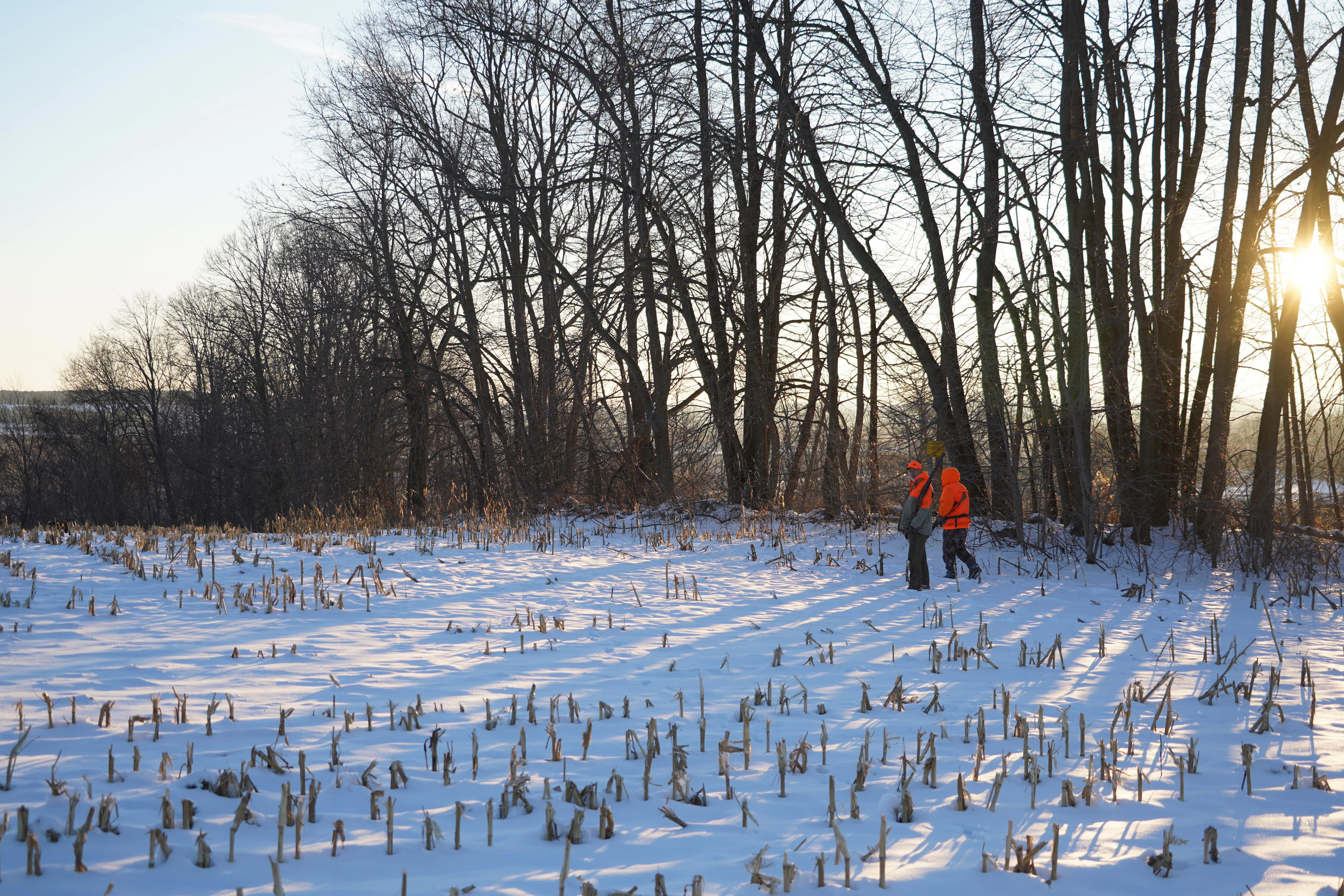 Up to 17 inches of snow fell in Wisconsin overnight. How much did it ...