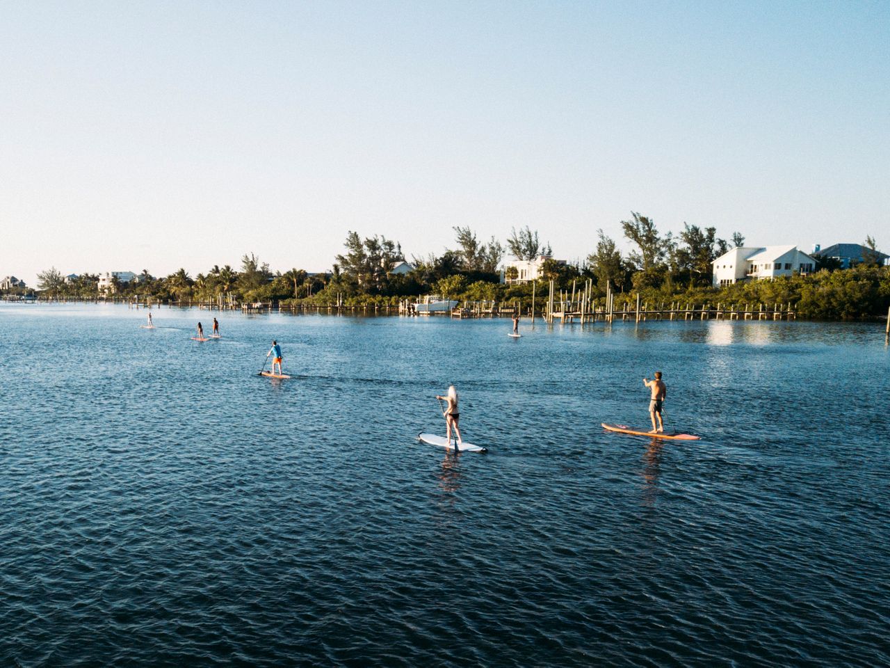 People paddleboarding on a tranquil body of water with a shoreline and houses in the background