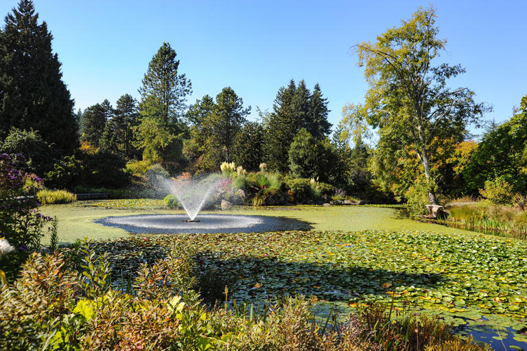 VanDusen Botanical Garden, a leafy escape in south Vancouver