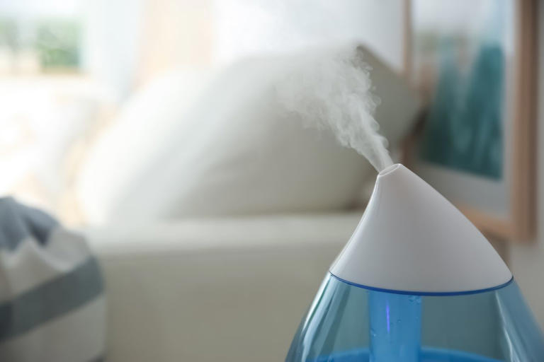 How to clean a humidifier to prevent mold and bacteria growth