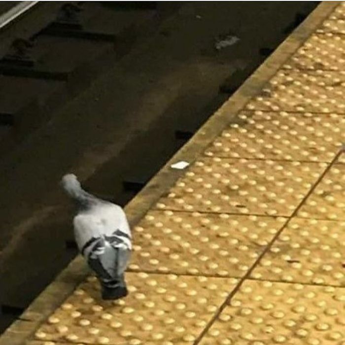 41 Funny And Strange Things Spotted On the Subway