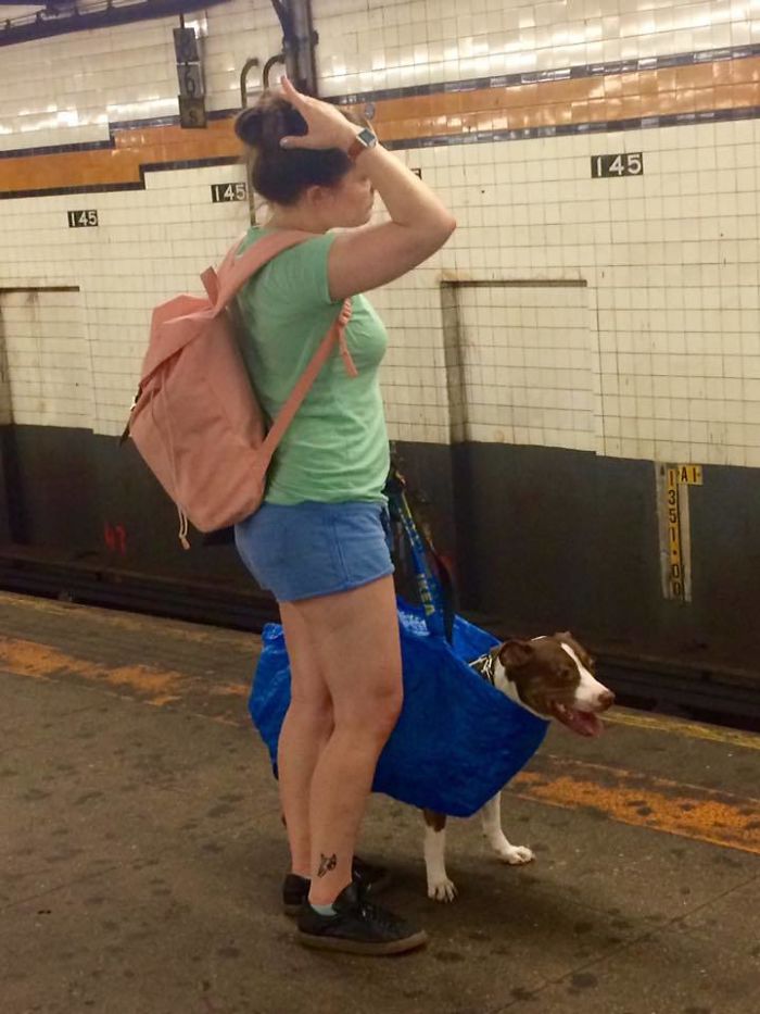 41 Funny And Strange Things Spotted On the Subway