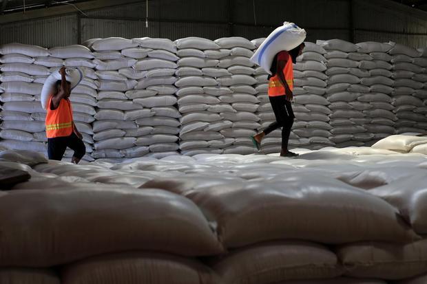 Stok Beras RI Akan Melimpah Mulai Februari 2026