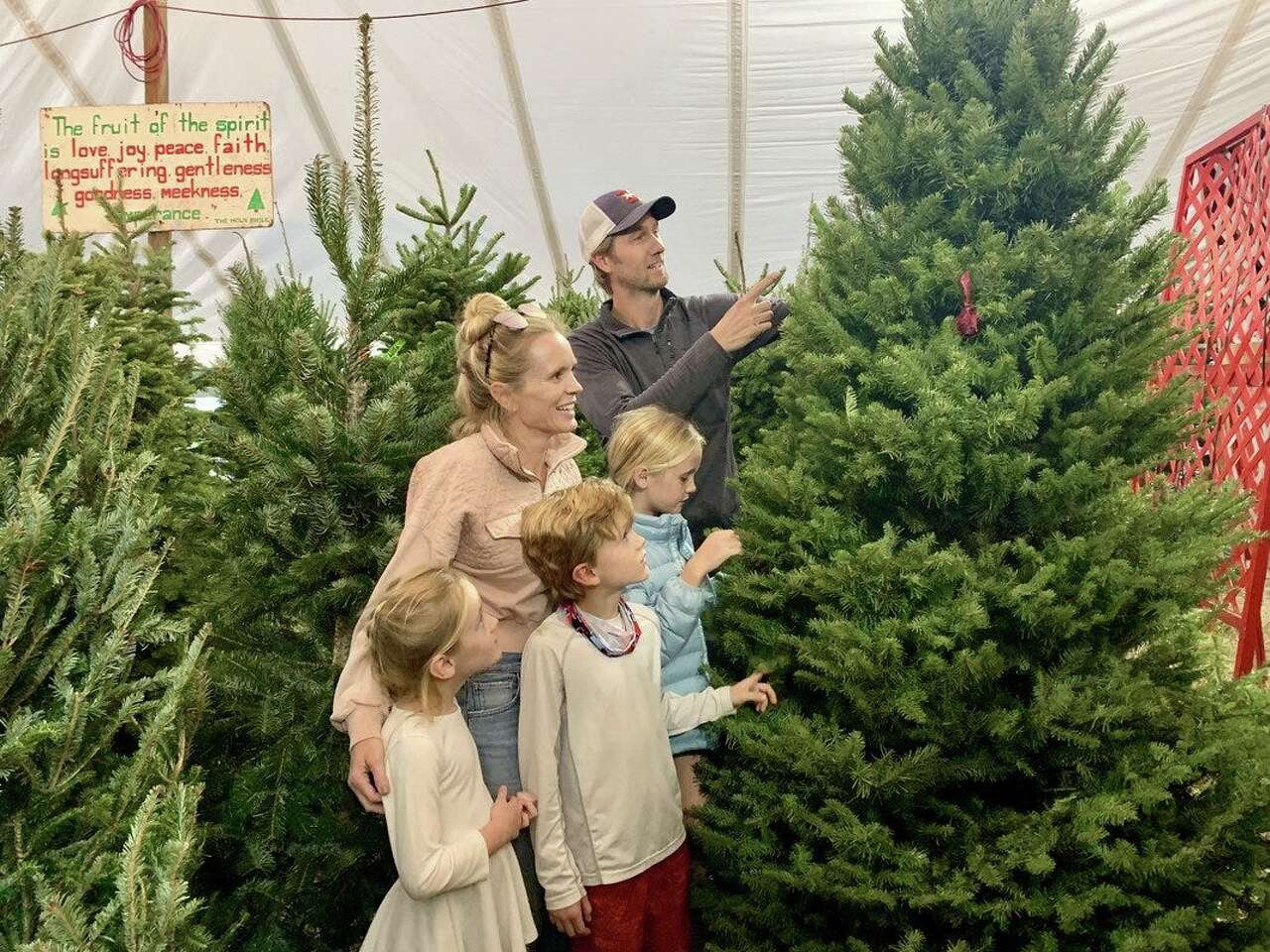 How to dispose of your Christmas tree in Austin, Travis County for free