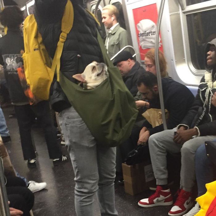 41 Funny And Strange Things Spotted On the Subway