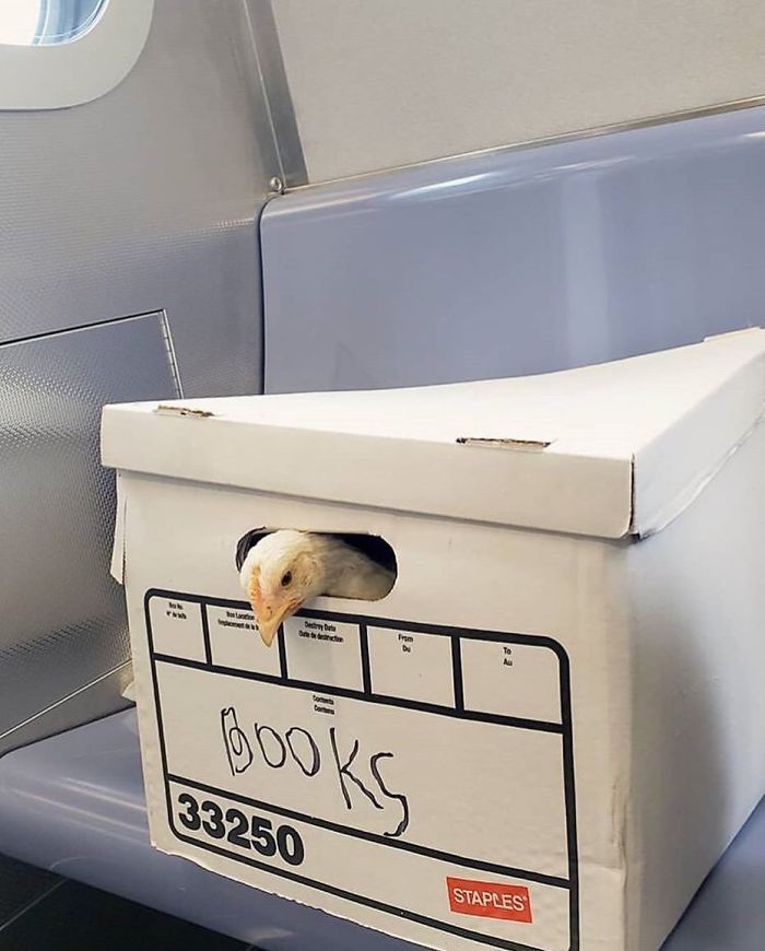 41 Funny And Strange Things Spotted On the Subway