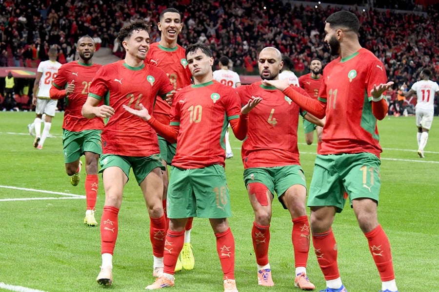 lions de l atlas maroc