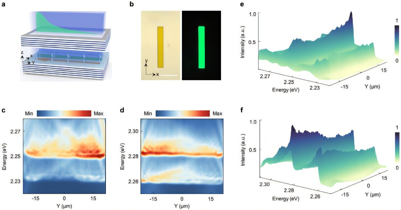 Twisted light-matter systems unlock unusual topological phenomena