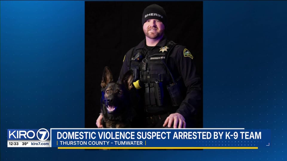 Video: Domestic violence suspect arrested by K9 team