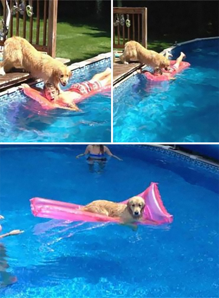 41 Of The Funniest Images From The ‘Kids In Predicaments’ Facebook Page
