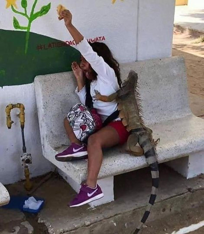 41 Of The Funniest Images From The ‘Kids In Predicaments’ Facebook Page