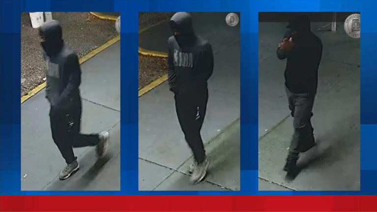 Montgomery police asking for public help in search for deadly shooting ...