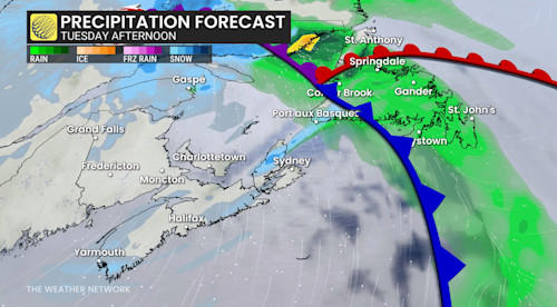 Messy winter storm in Atlantic Canada raises risk of power cuts, travel ...