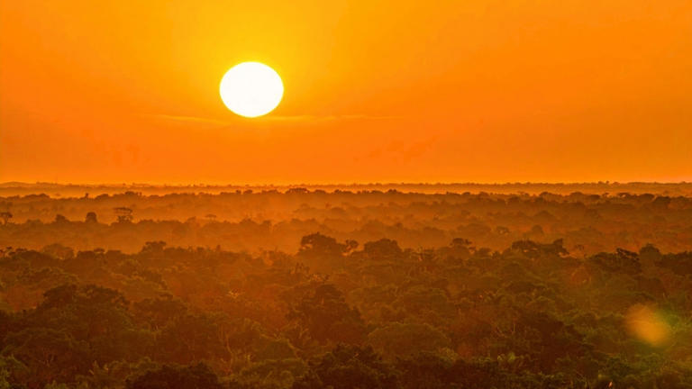 Amazon is shifting into a 'hypertropical' state unseen for millions of ...